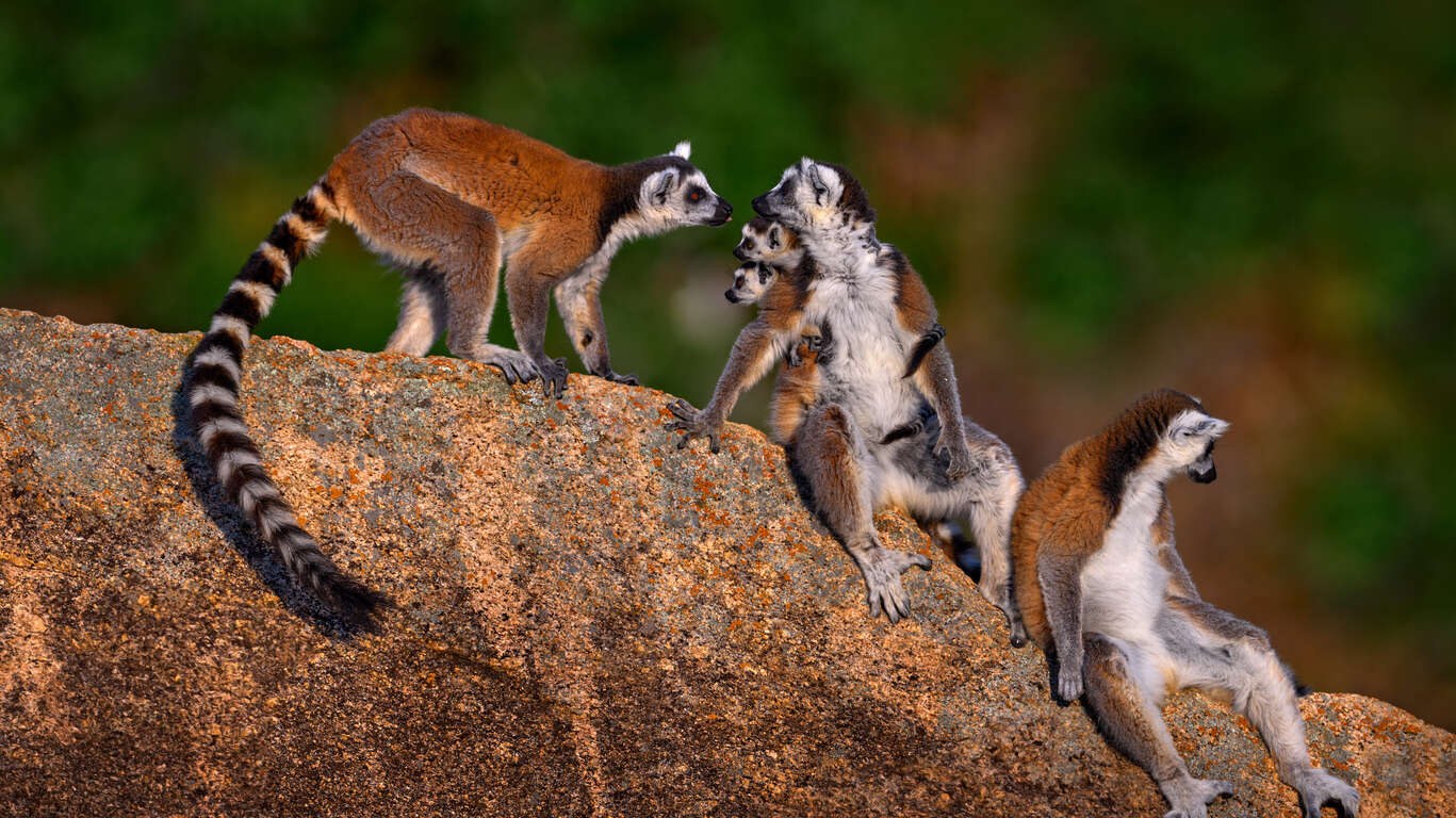 Circuit privé hors des sentiers battus à Madagascar