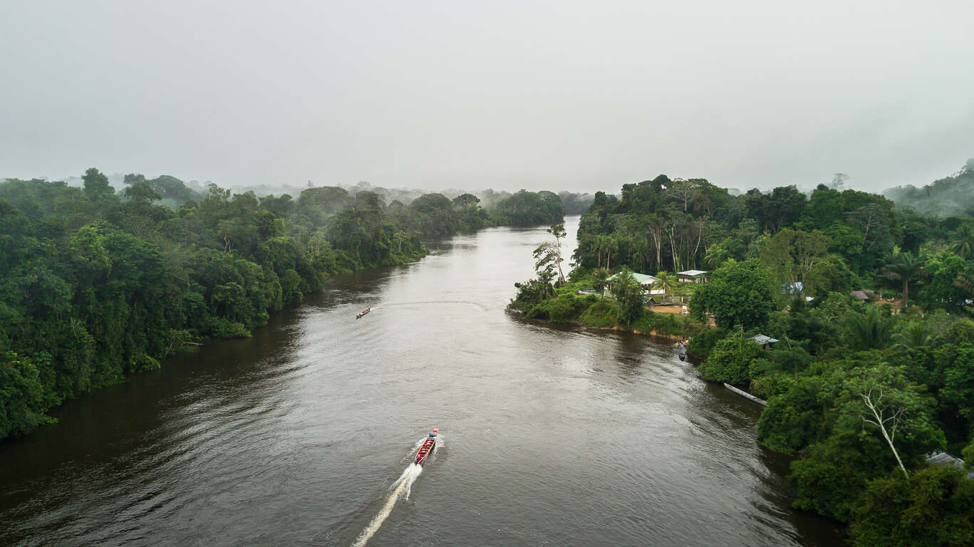 Voyage au Suriname