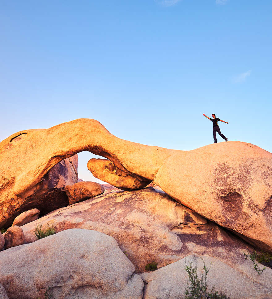 Activités et expériences uniques à Joshua Tree