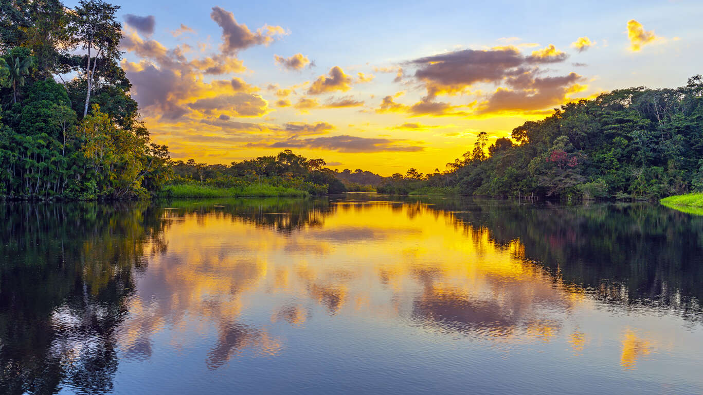 Voyage en Guyane