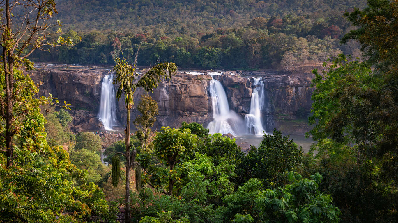 Voyage nature en Inde