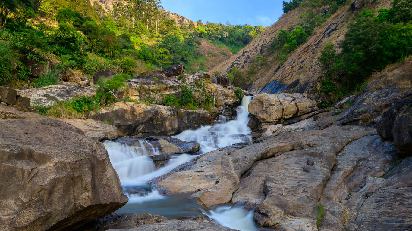 Voyage à Munnar 