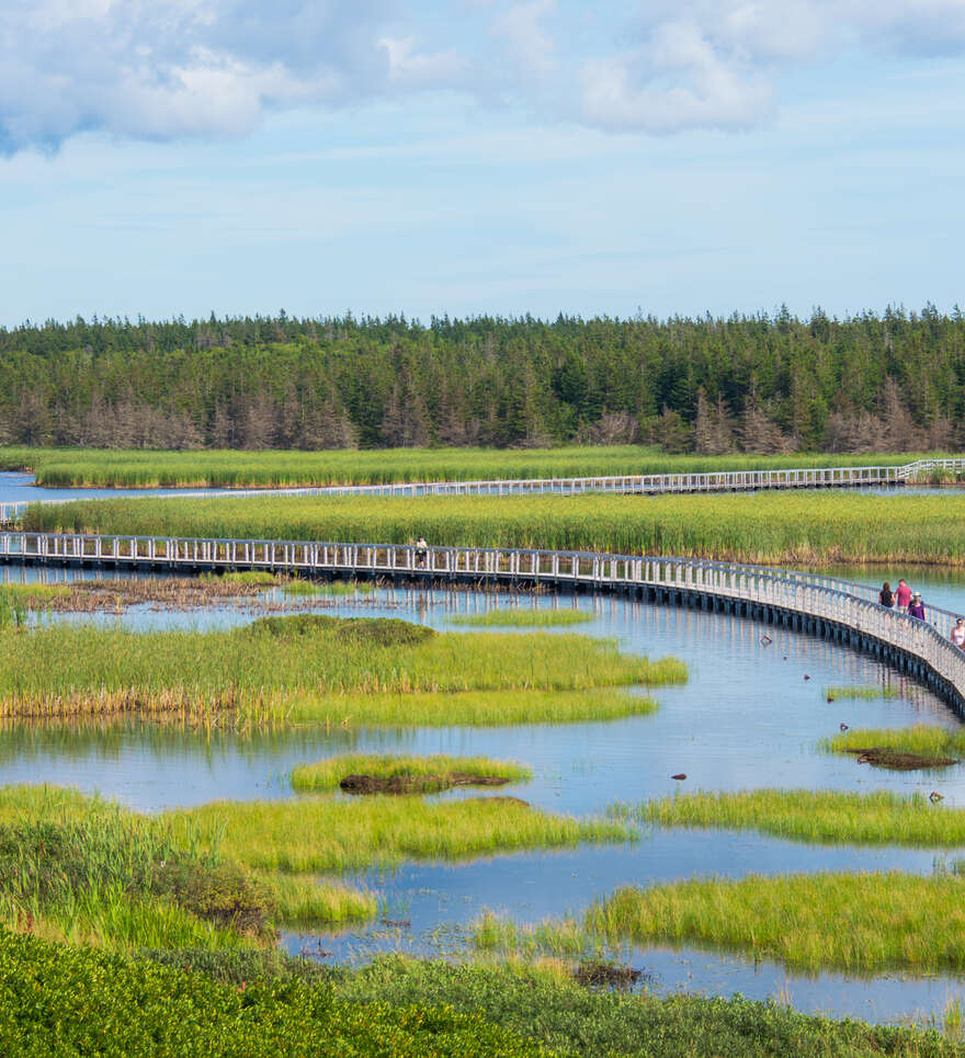 Nature et plein air à l’Île du Prince Édouard