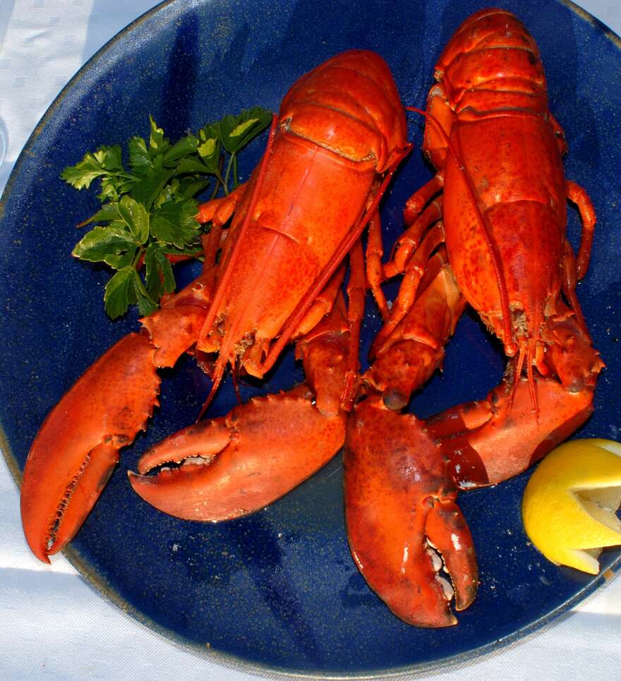 Gastronomie des Îles de la Madeleine