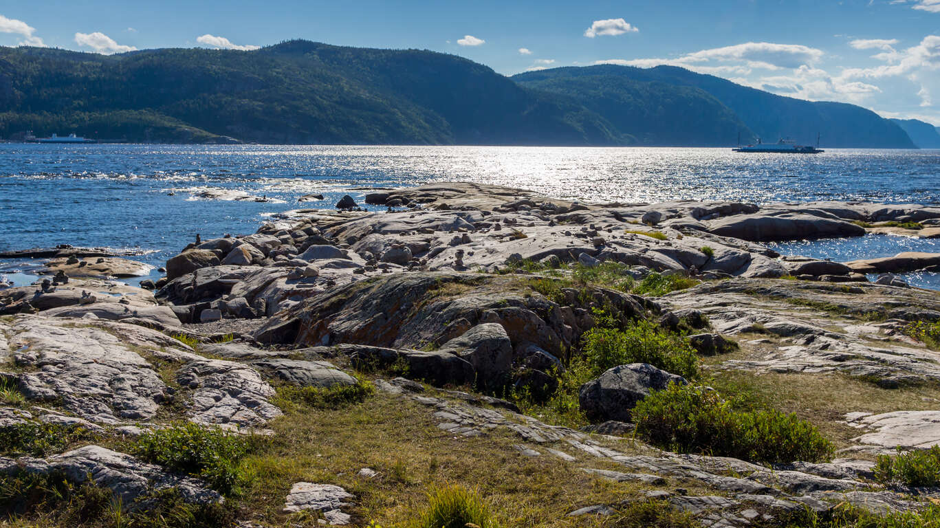 Croisière aux baleines à Tadoussac