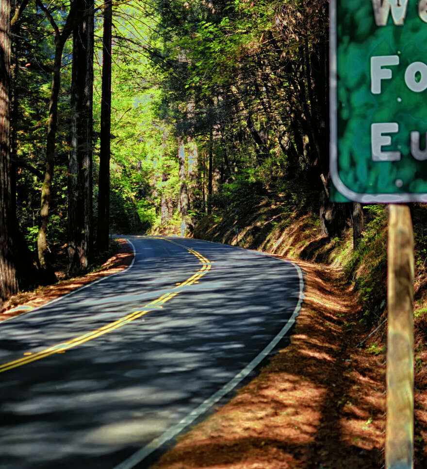 Planifier votre visite au Redwood National Park