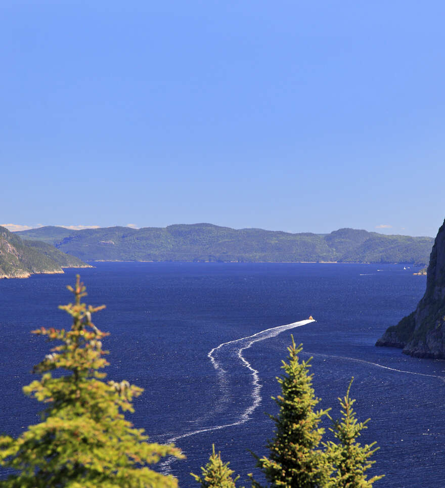 Quelle croisière faire dans le Fjord du Saguenay ? 