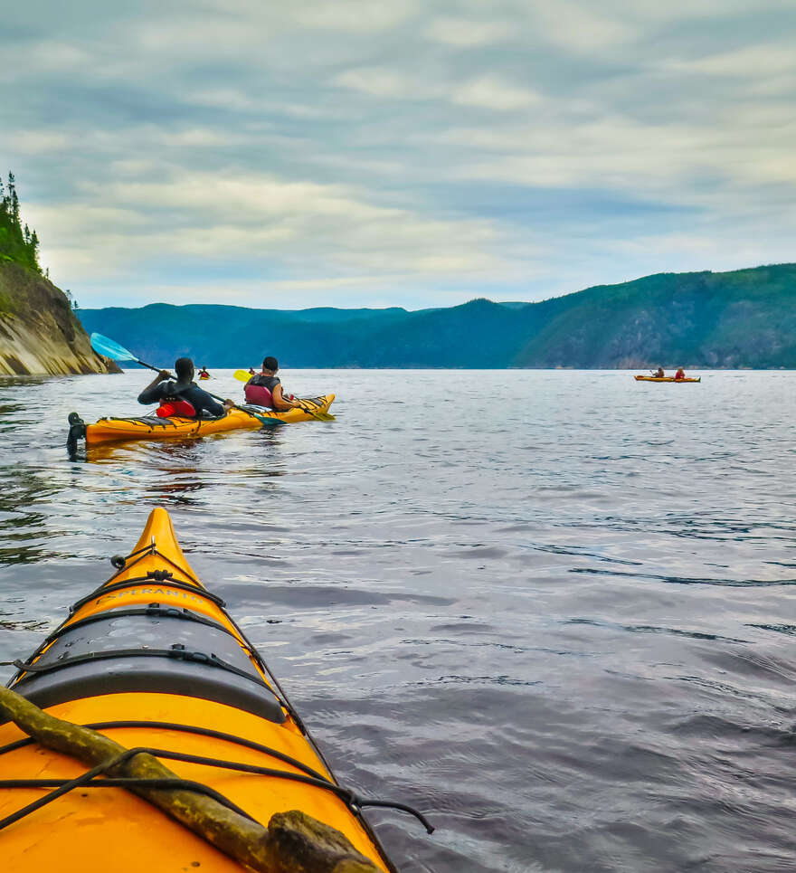 Alternatives aux croisières dans le Fjord de Saguenay 