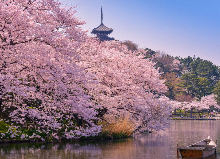 Voyage printemps