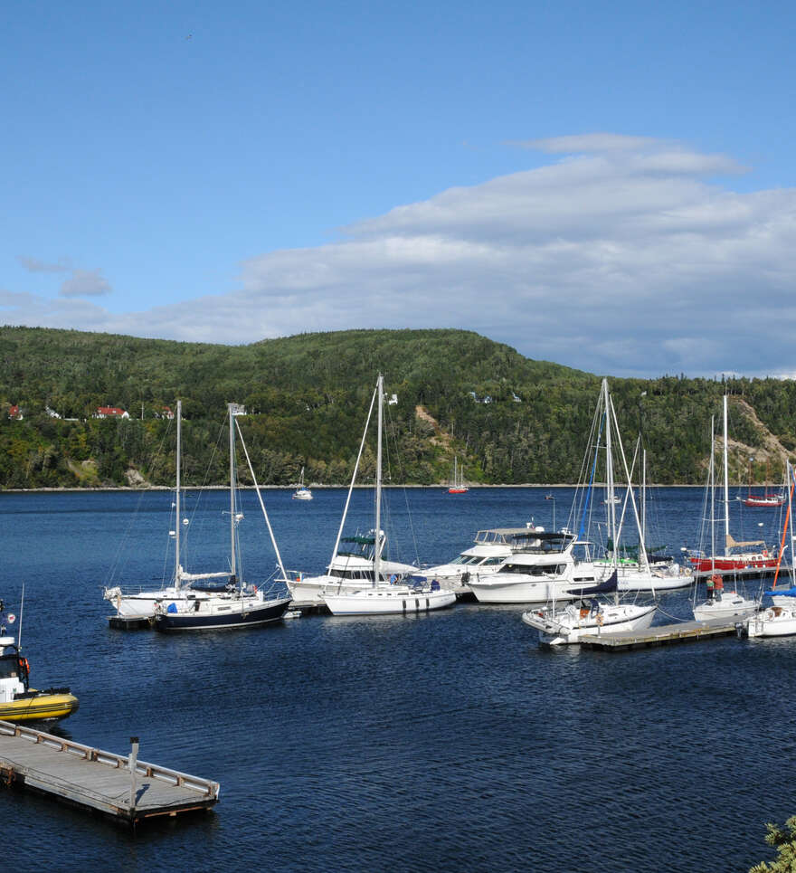 Quelle croisière aux baleines choisir à Tadoussac ?