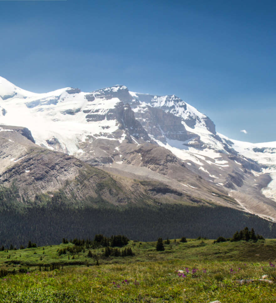 Comment accéder au Glacier Athabasca ?