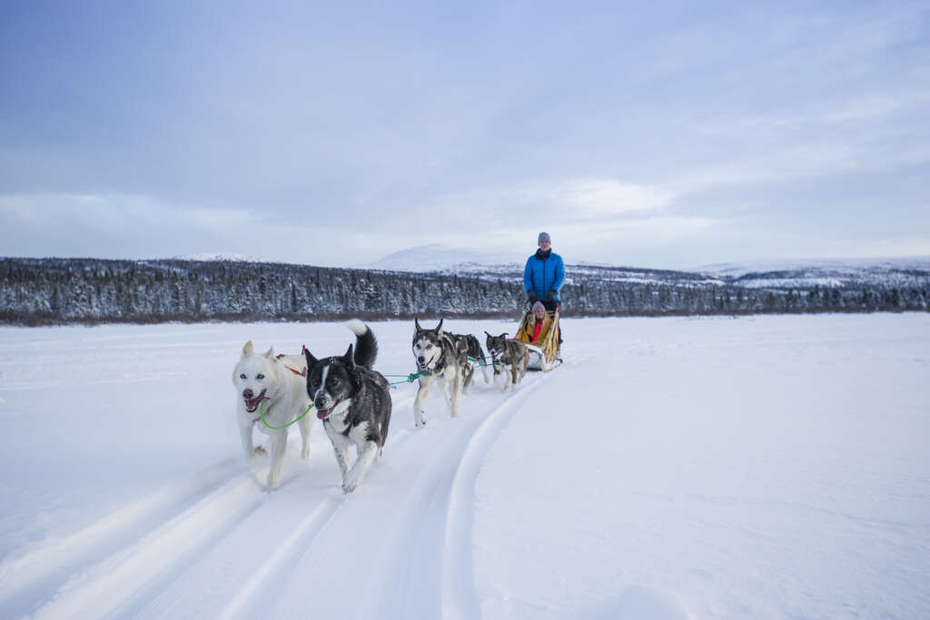 Voyage Grand Nord