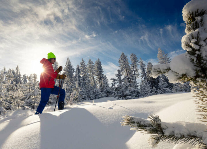 Hiver actif en Ontario