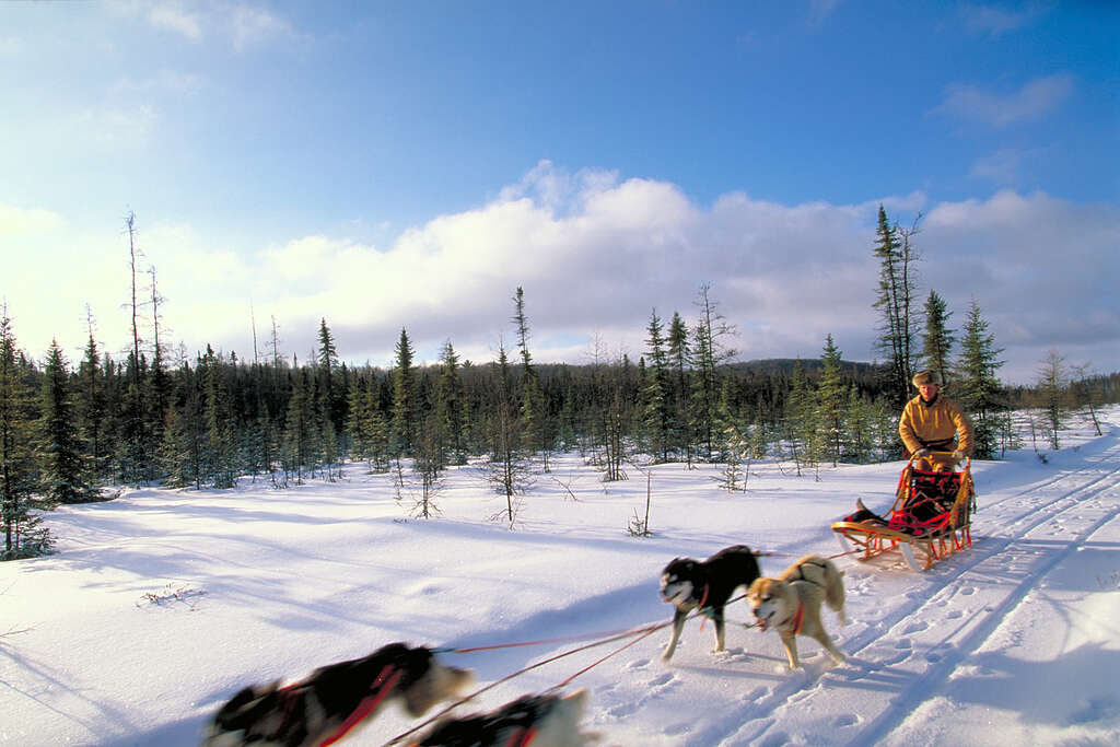 Un hiver en Ontario