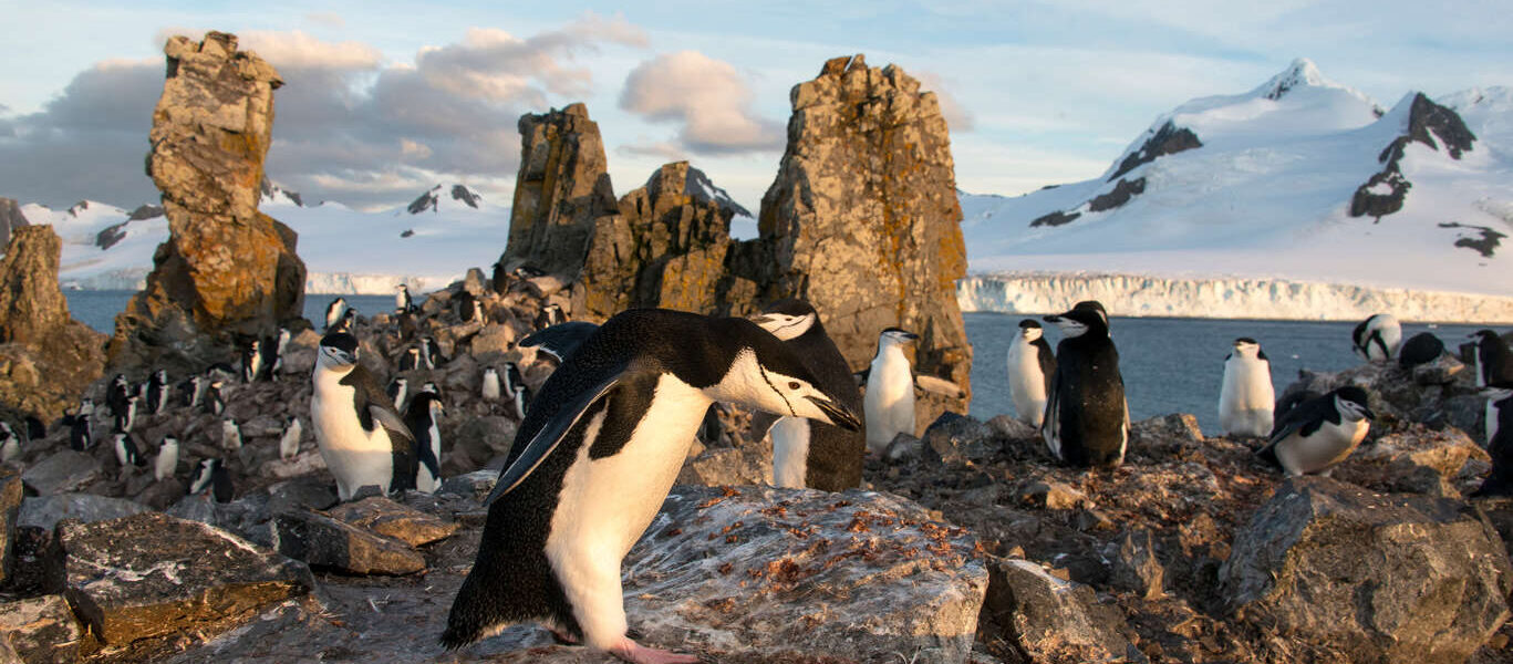 L’Antarctique entre voyageurs Cercle des Voyages