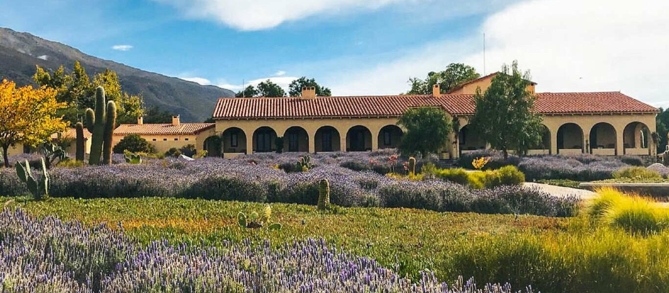 L’Argentine andine : quebradas, salars et vignobles