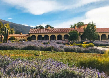 L’Argentine andine : quebradas, salars et vignobles
