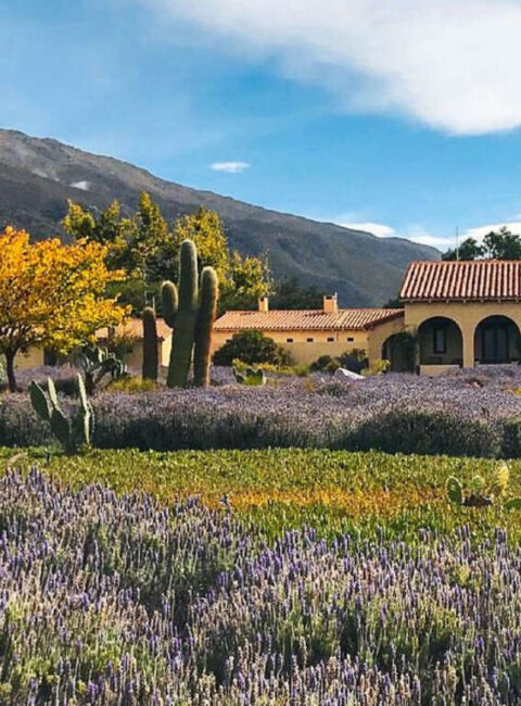 Le Nord-Ouest Argentin : quebradas, salars et vignobles