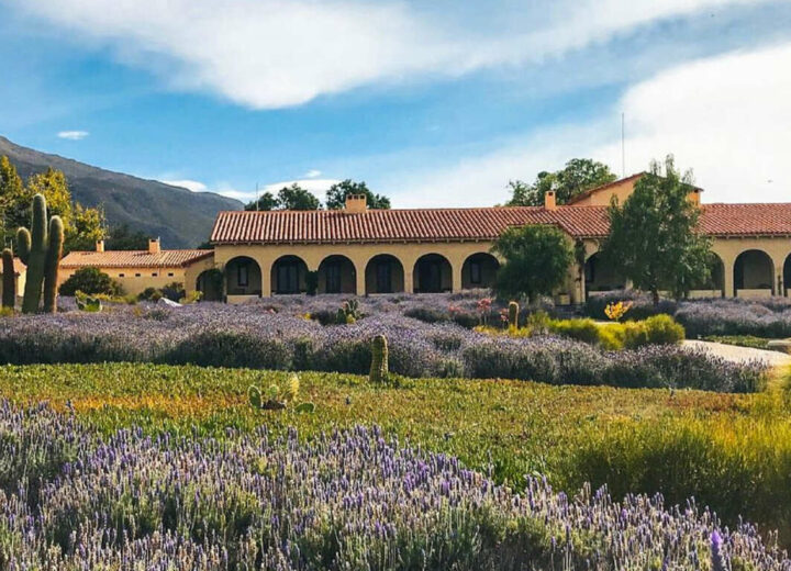 L’Argentine andine : quebradas, salars et vignobles