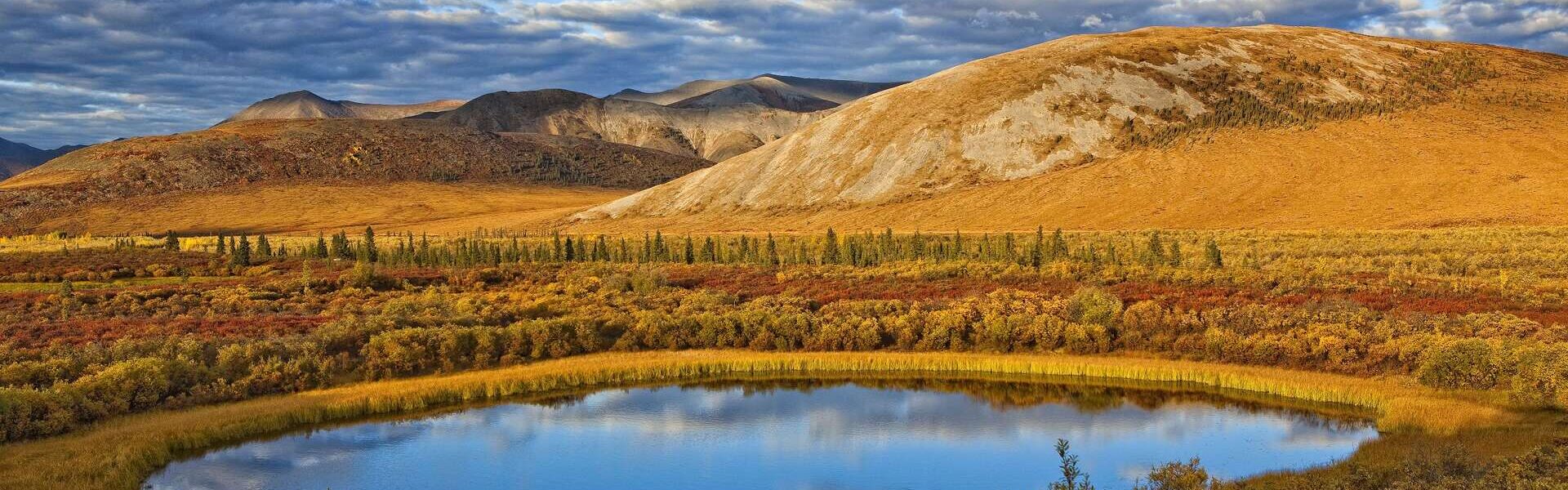 Circuit en petit groupe Alaska et Yukon 