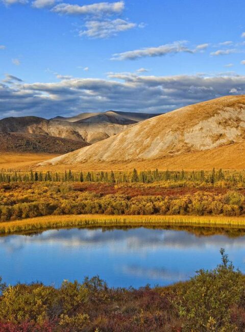Meilleur du Yukon et de l’Alaska en petit groupe