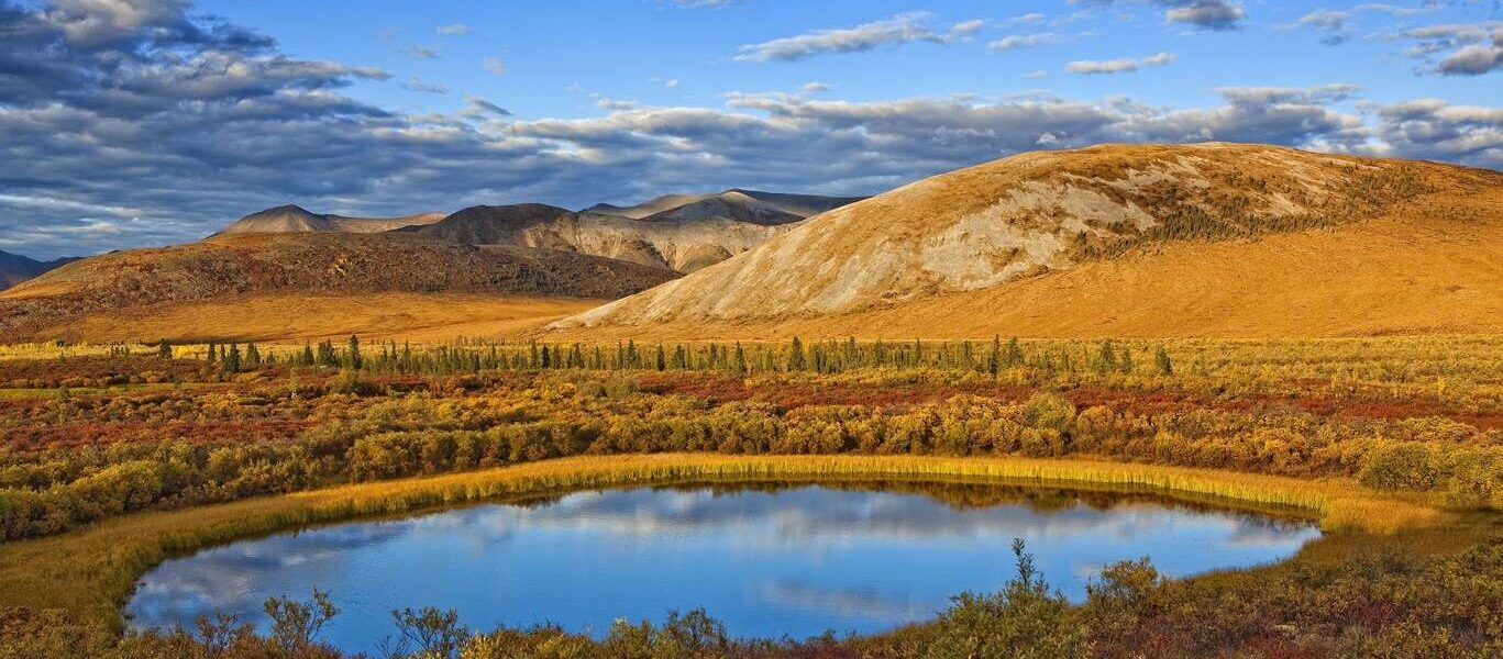 Meilleur du Yukon et de l’Alaska en petit groupe