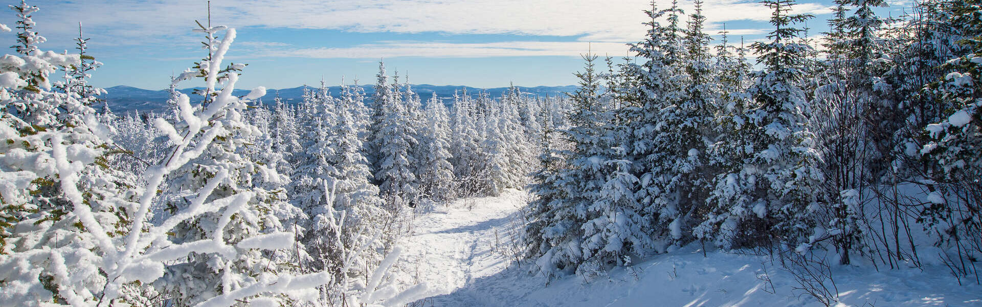 Séjour 7 jours au Québec en hiver