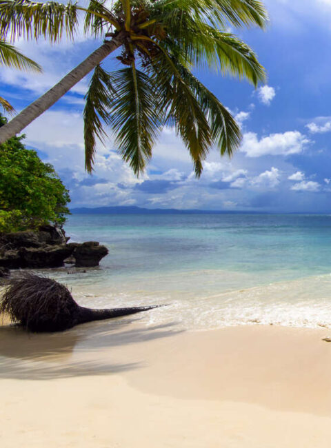 Les merveilles de la Péninsule de Samana