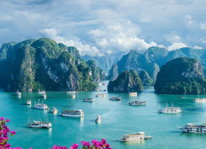 Un Voyage de la Tradition Vietnamienne à la Modernité
