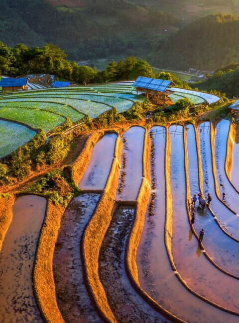 Splendeurs du Vietnam : De la Montagne Sacrée à la Baie d'Ha Long