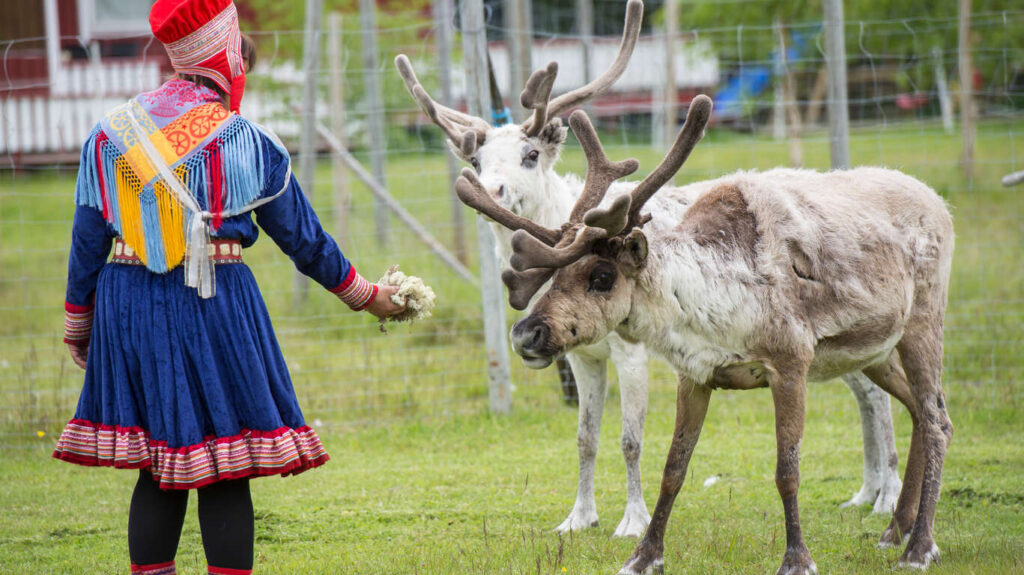 Voyage Laponie été groupe avec guide