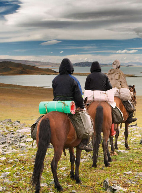Taïga, grands lacs et steppes mongoles