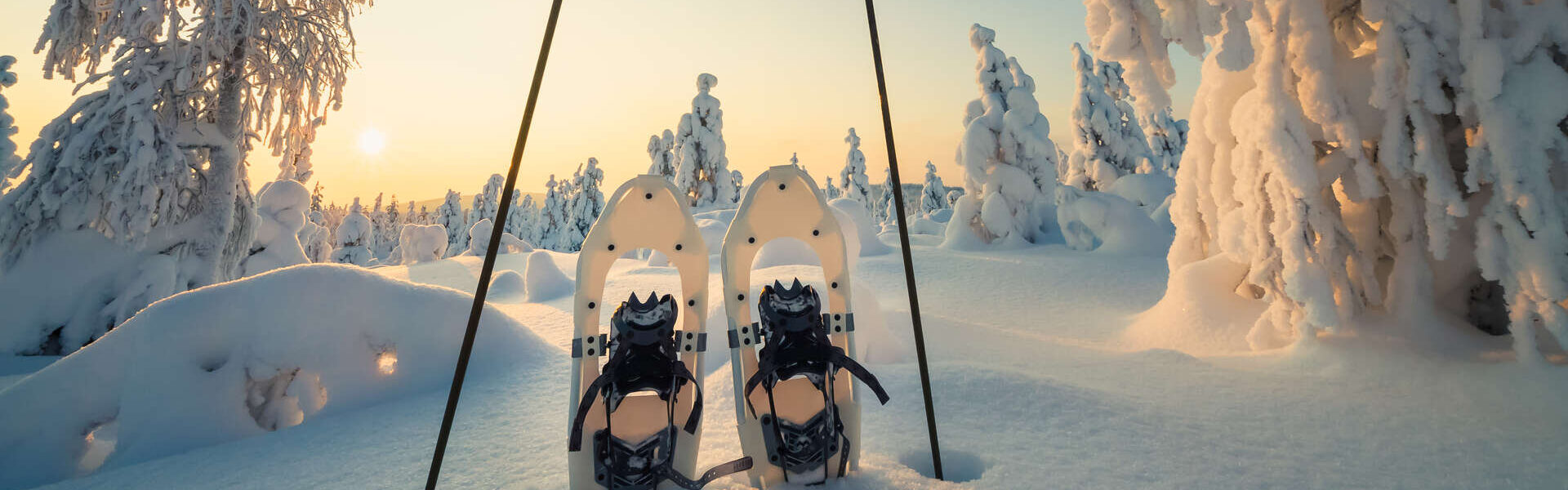 Voyage Rovaniemi guide francophone 5 jours