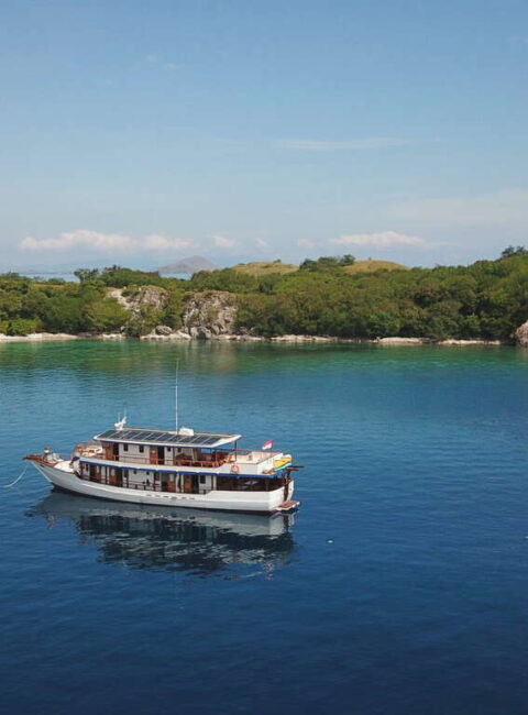 Banggai et les Nomades de la mer
