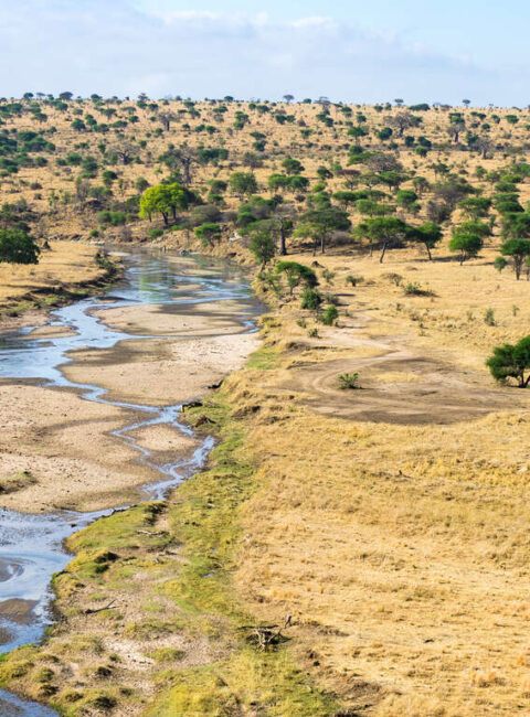 Aperçu de la Tanzanie en petit groupe
