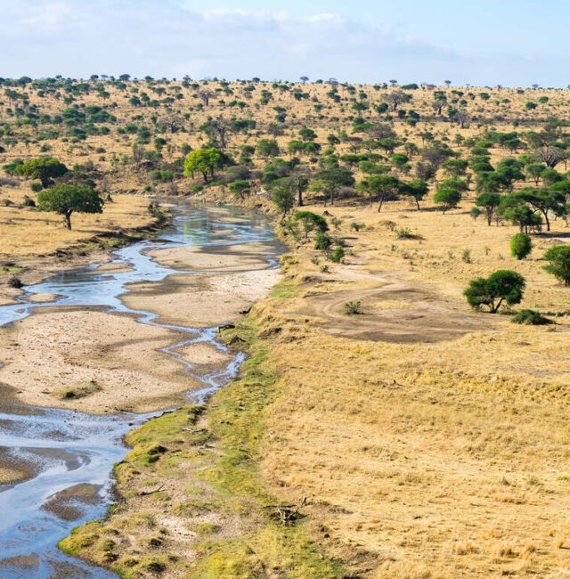 Circuit accompagné en petit groupe en Tanzanie