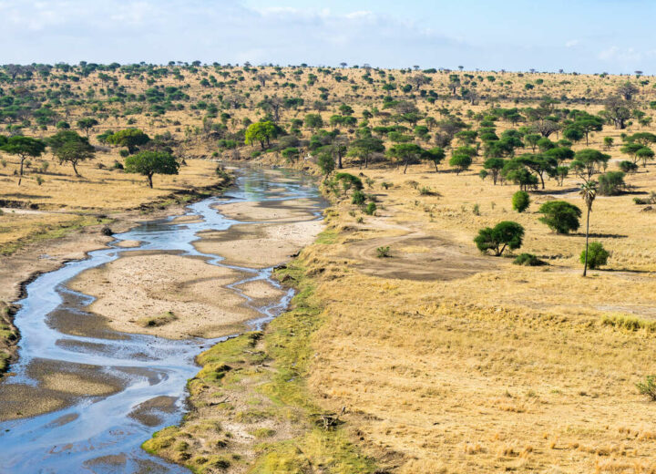 Aperçu de la Tanzanie en petit groupe