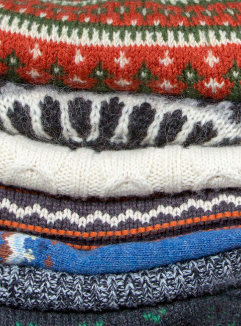 Laine et Lichen, l'Islande en hiver !