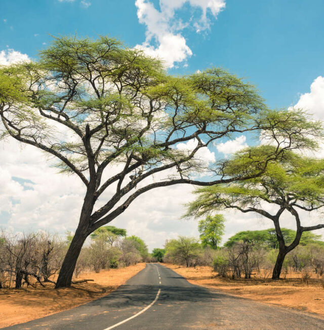 Combiné nature et culture en Afrique du Sud et au Zimbabwe