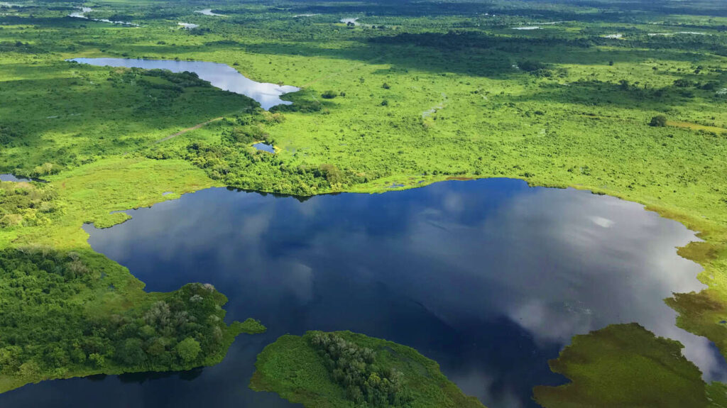 Du Brésil authentique à l'éden sauvage du Pantanal