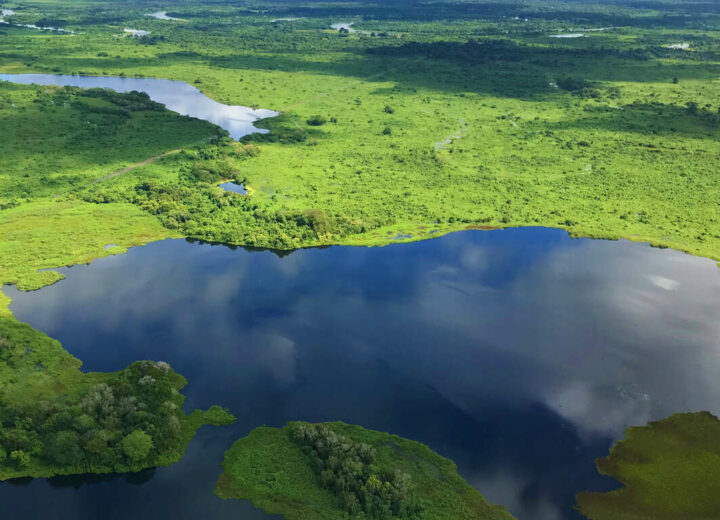 Circuit accompagné Brasil tropical