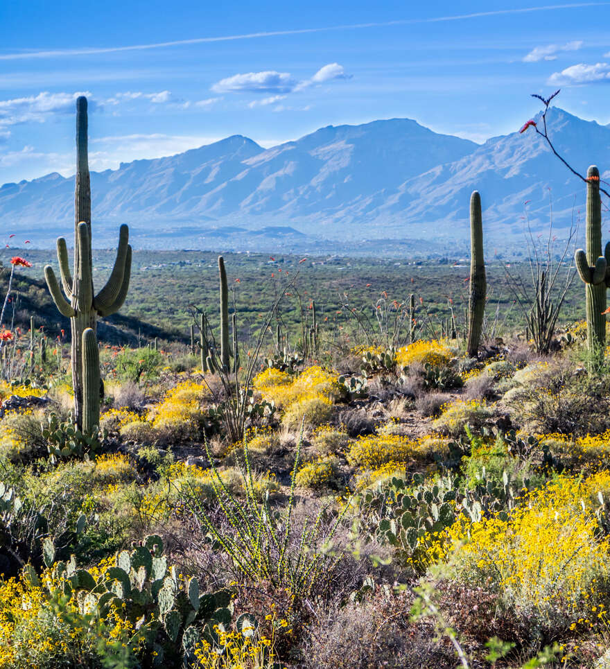 Itinéraires de randonnées à ne pas manquer