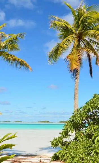 Activités et attractions incontournables