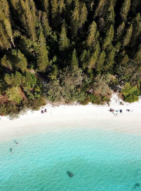Ile des Pins