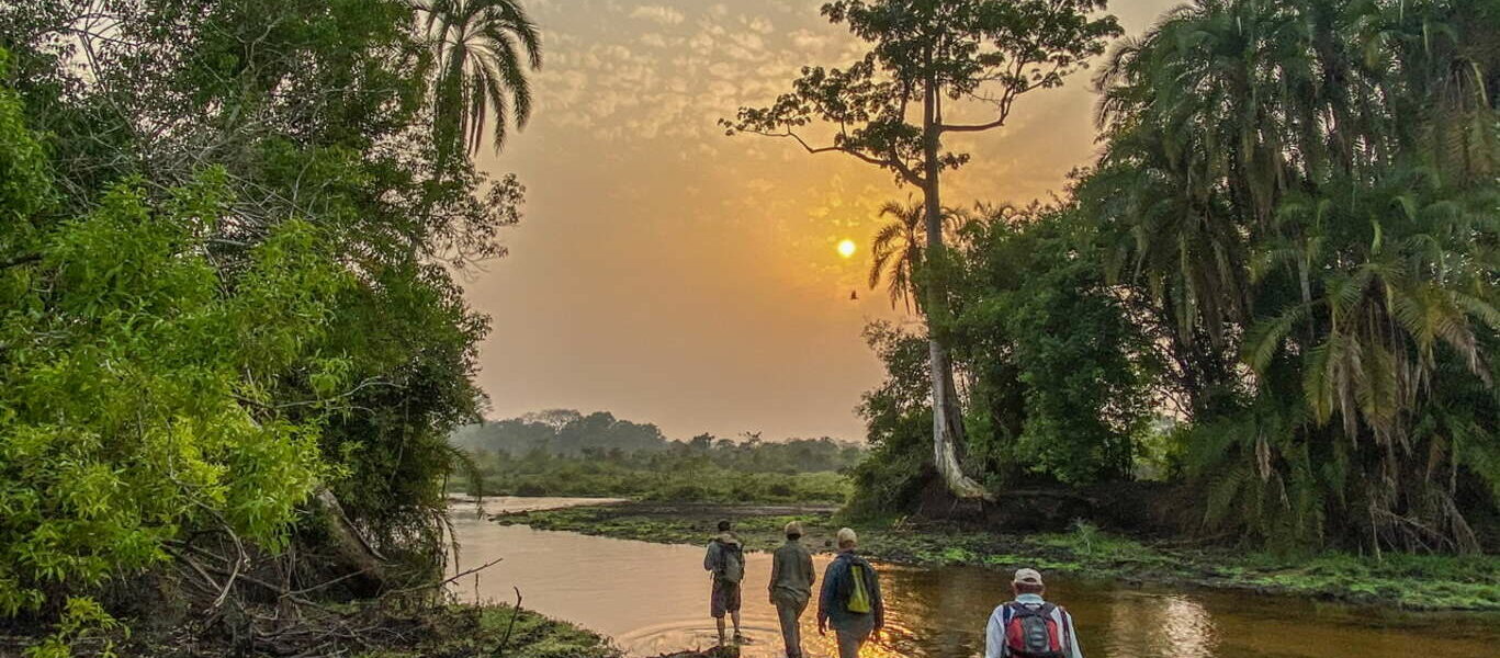 Odzala-Kokoua : trésor Caché du Bassin du Congo by Kamba