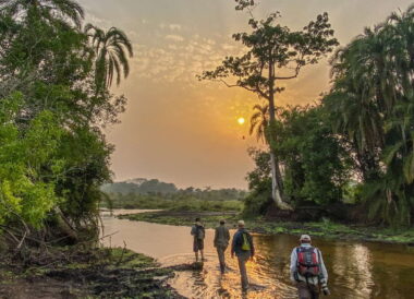 Odzala-Kokoua : trésor Caché du Bassin du Congo by Kamba