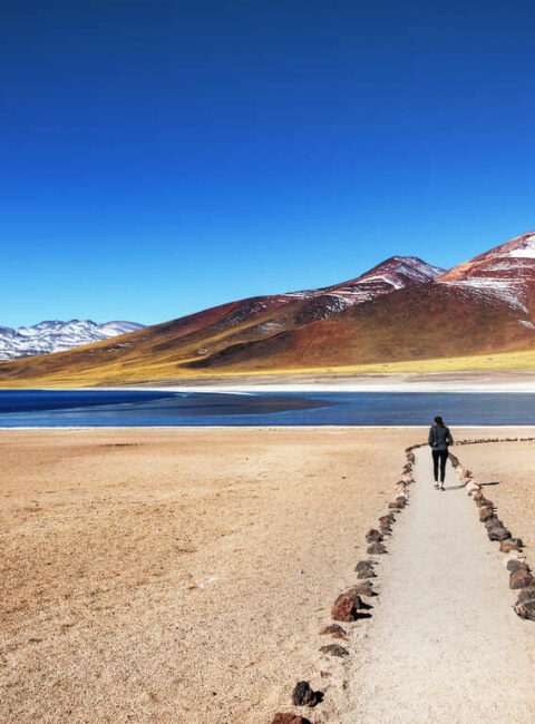 Désert d'Atacama