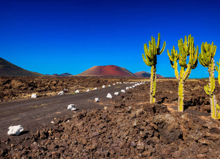 Voyage aux Îles Canaries : Lanzarote, Tenerife et la Gomera