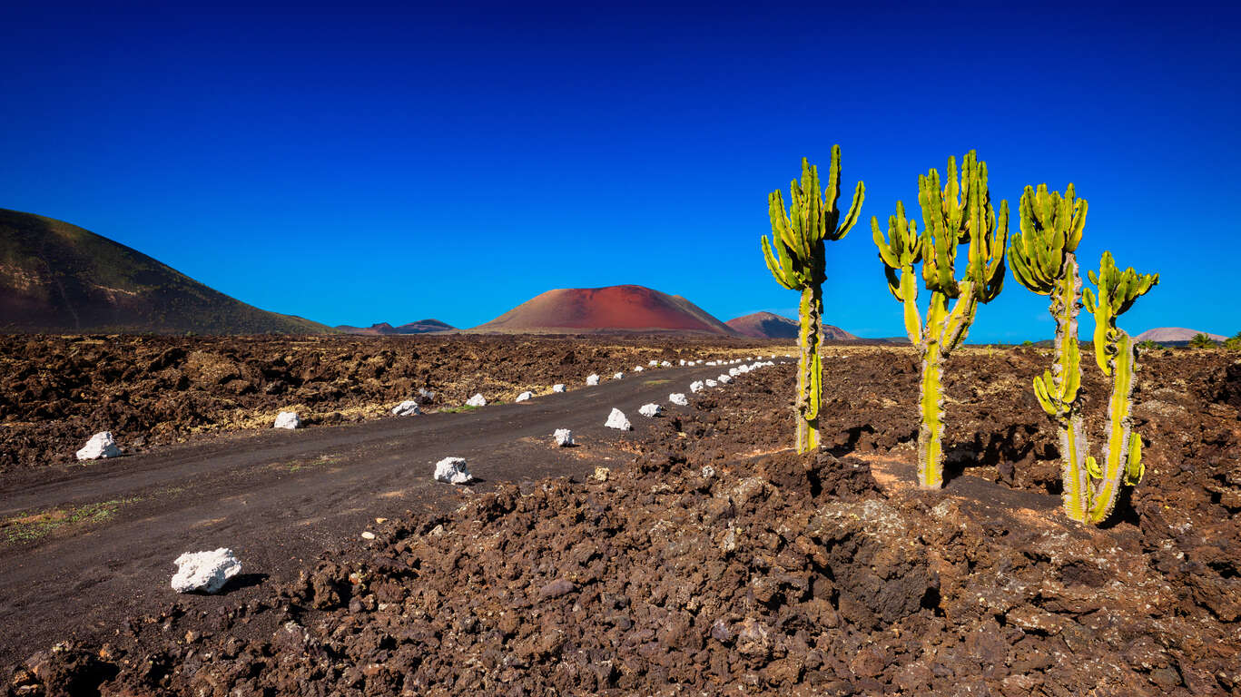 Voyage aux Îles Canaries : Lanzarote, Tenerife et la Gomera