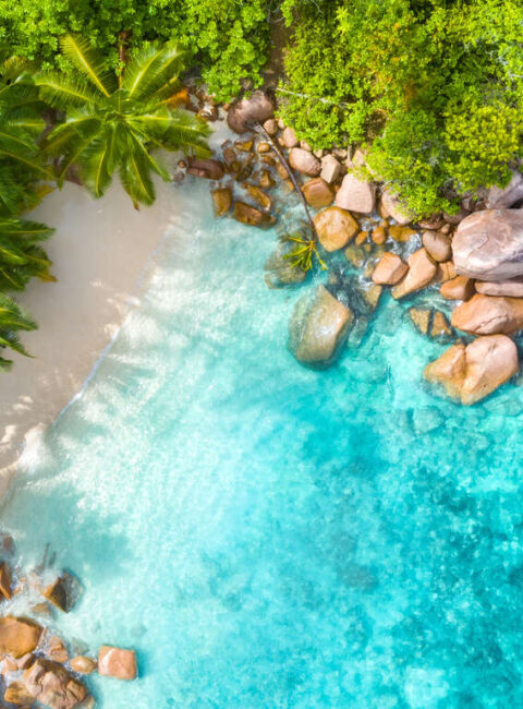 Combiné Kenya et Seychelles